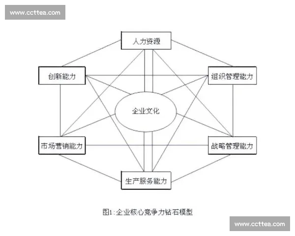 以核心能力构建可持续竞争优势的战略路径与实践探索体系创新发展