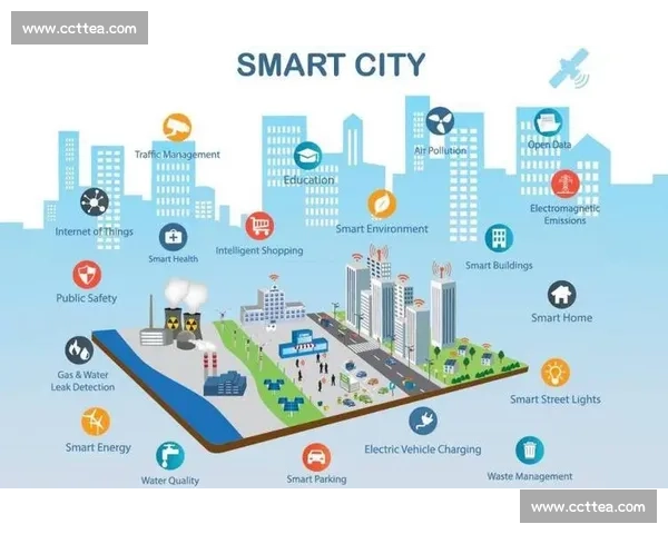 以数据驱动与协同创新引领城市智慧管理高质量发展新路径探索实践